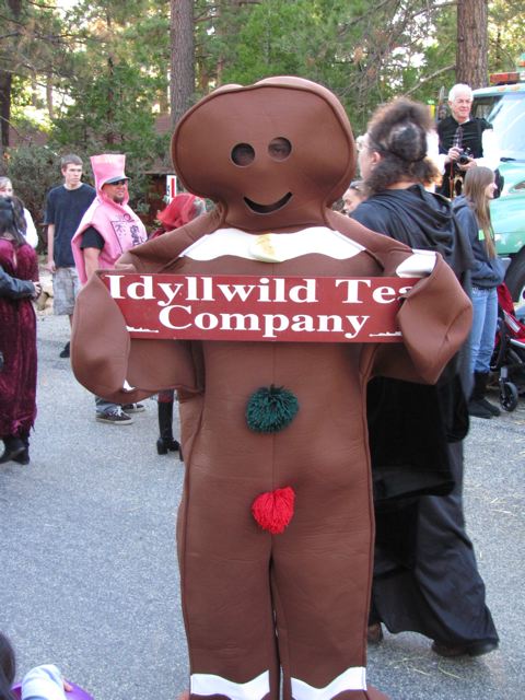 Idyllwild Hallowe'en Parade 2010
