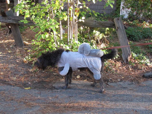 Idyllwild Hallowe'en Parade 2010