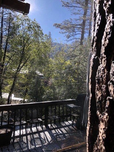 March Snow In Idyllwild