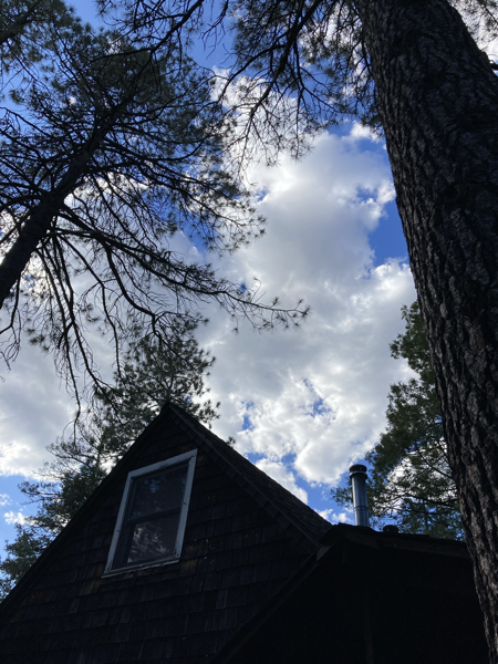 Sky, clouds, a secret alpine laboratory in silhouette among the trees