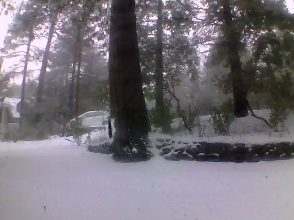 snow in the driveway? yes, it happened.