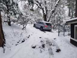 A lovely picture of a Jeep nestled against a tree